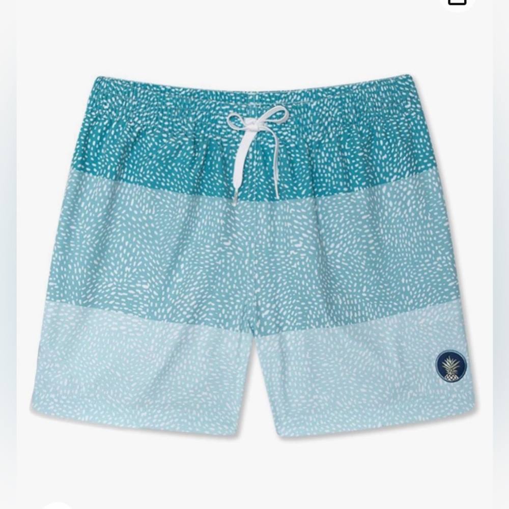 Chubbies Whale Sharks swimming trunks size Medium New with tag